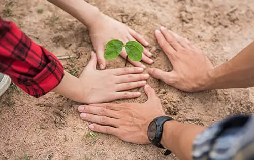 Planting Trees
